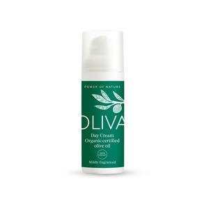 Ccs Oliva Day Cream